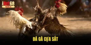 Đá Gà Cựa Sắt