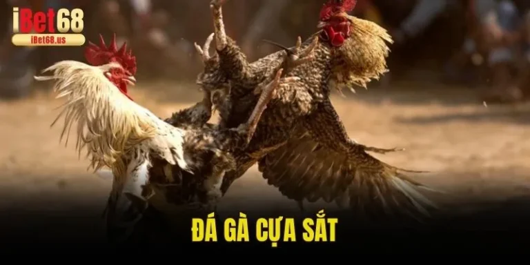 Đá Gà Cựa Sắt