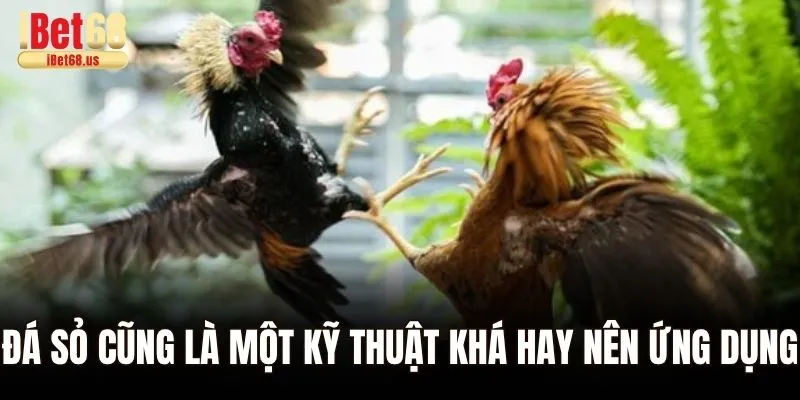 Đá sỏ cũng là một kỹ thuật khá hay nên ứng dụng