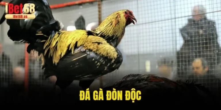 Gà Đá Đòn Độc