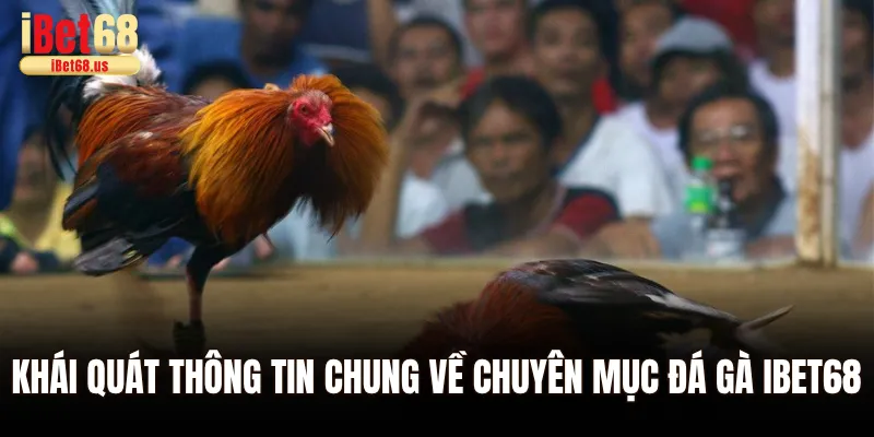 Khái quát thông tin chung về chuyên mục đá gà Ibet68