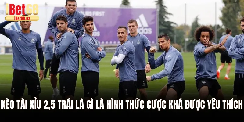 Kèo tài xỉu 2,5 trái là gì là hình thức cược khá được yêu thích