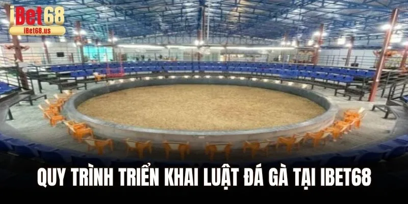 Quy trình triển khai luật đá gà tại Ibet68