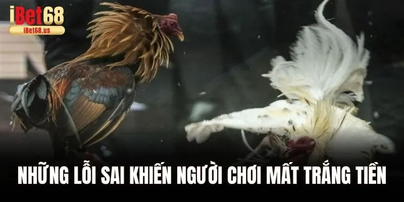 Những lỗi sai khiến người chơi mất trắng tiền