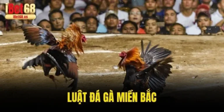 Luật Đá Gà Miền Bắc